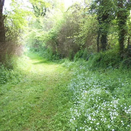 Bonheur Luxury Nyaraló Morthemer